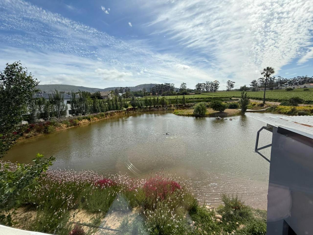 Middelplaas Paarl Guesthouse Buitenkant foto