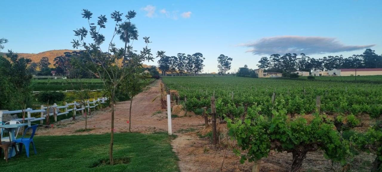 Middelplaas Paarl Guesthouse Buitenkant foto