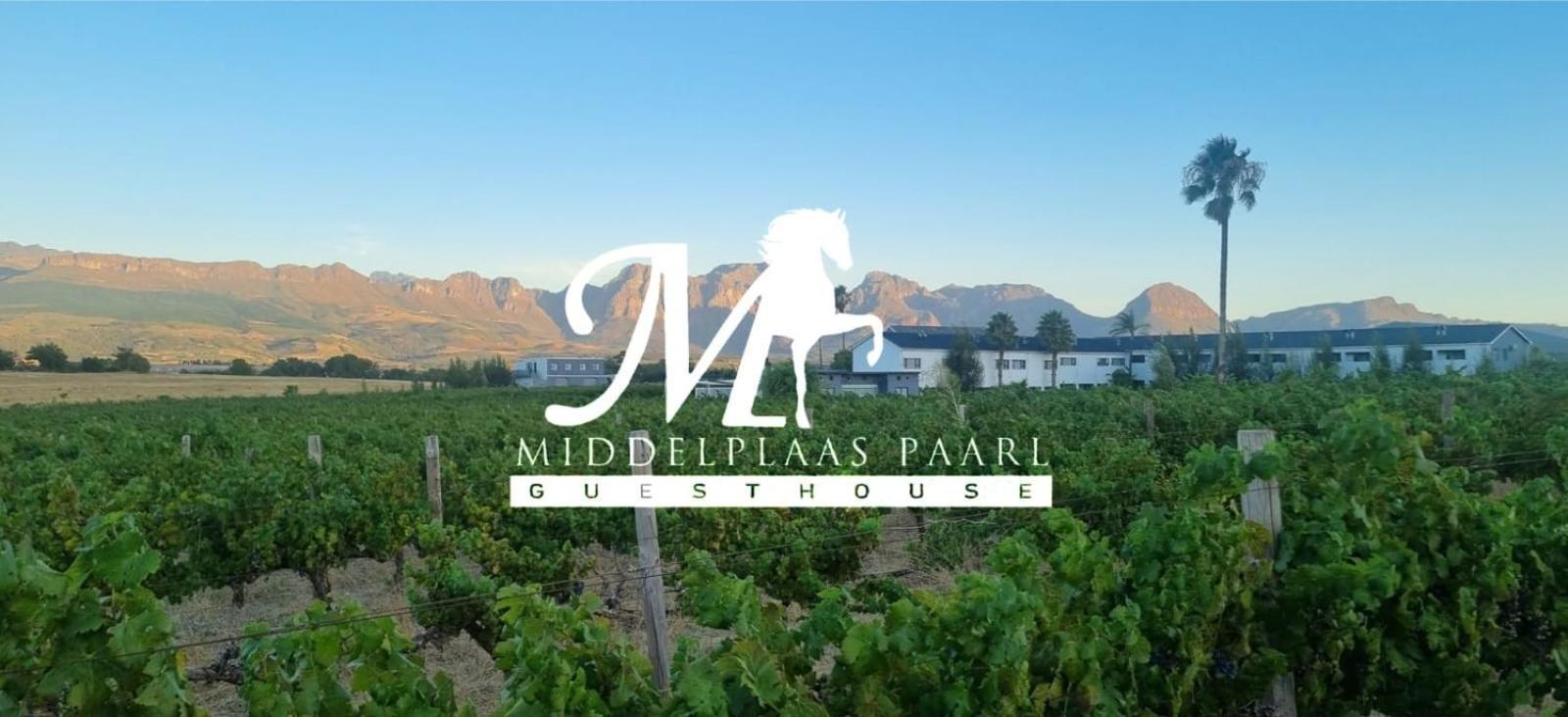 Middelplaas Paarl Guesthouse Buitenkant foto