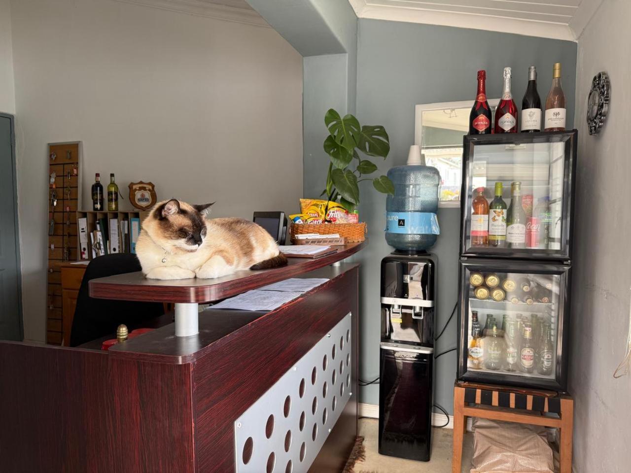 Middelplaas Paarl Guesthouse Buitenkant foto