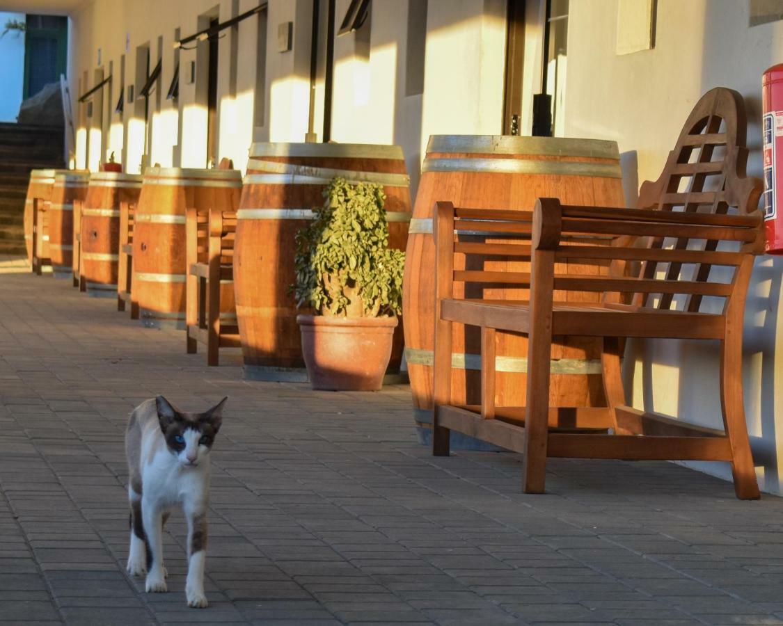 Middelplaas Paarl Guesthouse Buitenkant foto